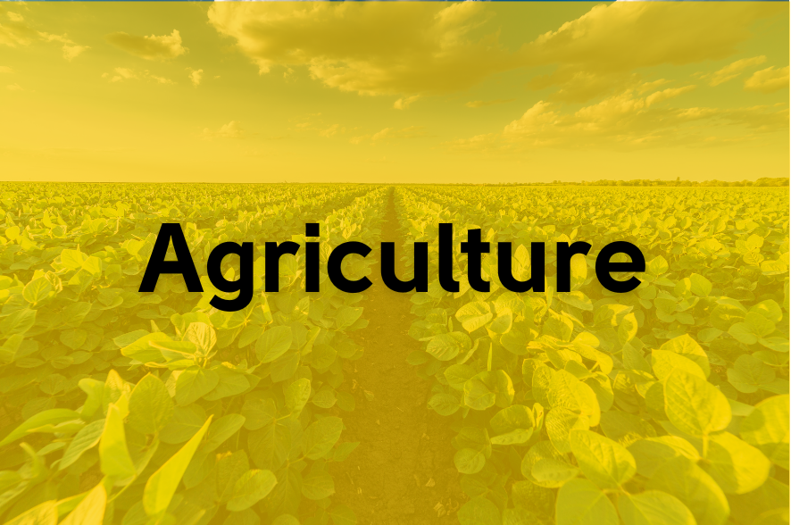 Agriculture Industry Thumbnail